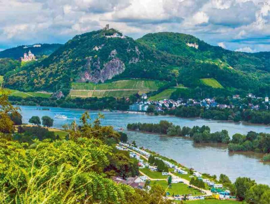 Ferienwohnung In Rheinnaehe Rheinbreitbach Ngoại thất bức ảnh
